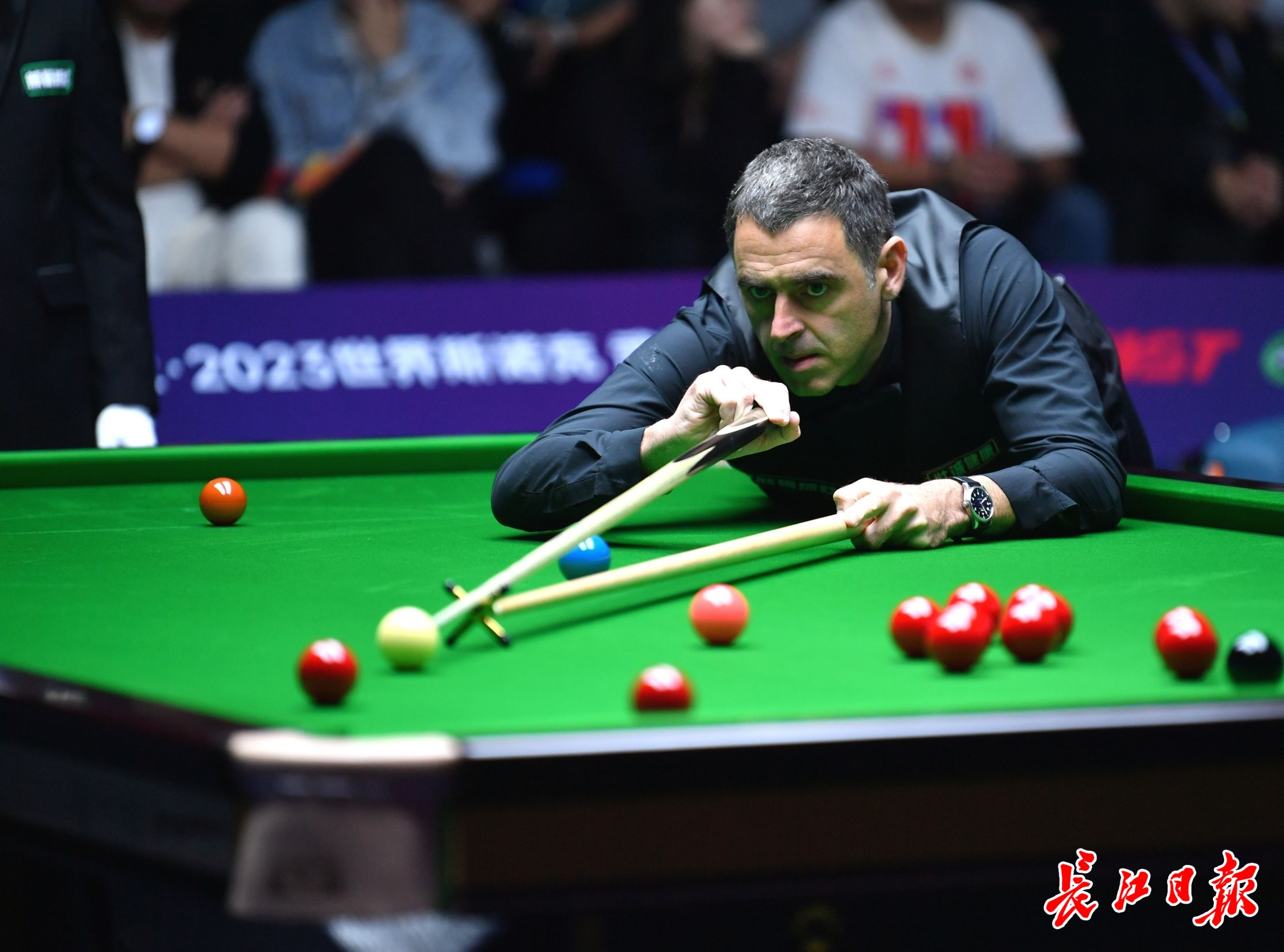 几个赛季仍 几个赛季仍