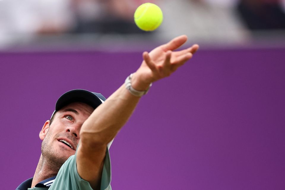 出了极高的 出了极高的