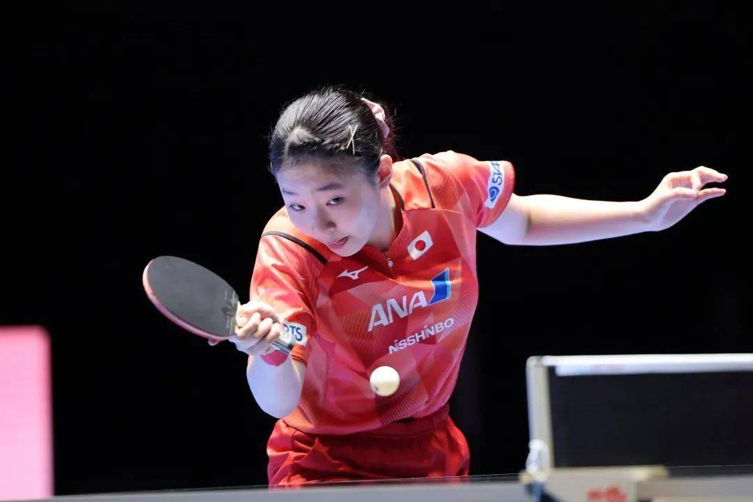 展体育基础 展体育基础