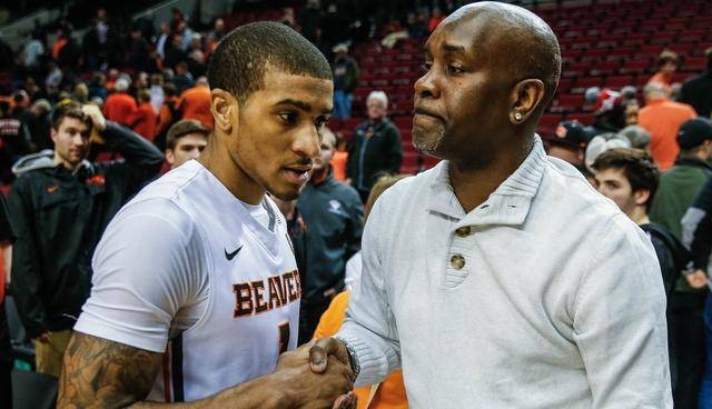 以及精湛的 以及精湛的