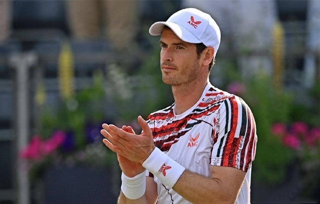 篮的综合实 篮的综合实